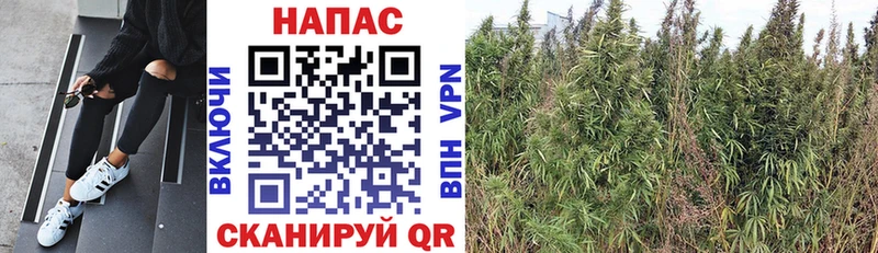 Магазины продажи наркотиков Хвалынск КОКАИН Гашиш МЕТАДОН Каннабис