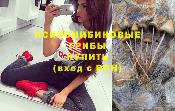 меф Армянск