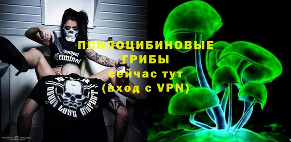 герыч Арсеньев
